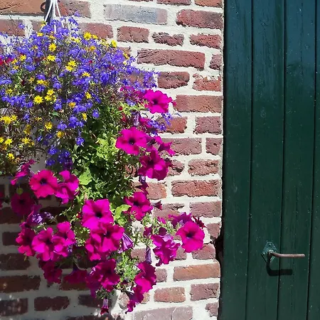 לינה וארוחת בוקר Hoeve Heidonk