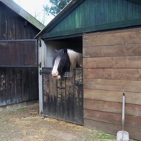 Hoeve Heidonk לינה וארוחת בוקר 3*