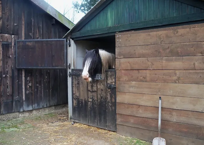 Hoeve Heidonk Отель типа 